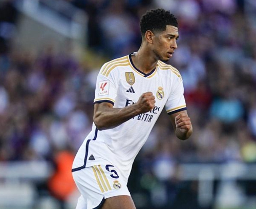 迷安心的 迷安心的